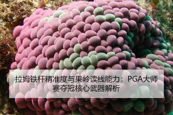 la-mu-tie-gan-jing-zhun-du-yu-guo-ling-du-xian-neng-li-da-shi-sai-duo-guan-he-xin-wu-qi-jie-xi-3-299.jpg