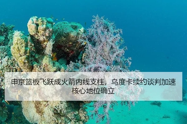 申京篮板飞跃成火箭内线支柱，乌度卡续约谈判加速核心地位确立