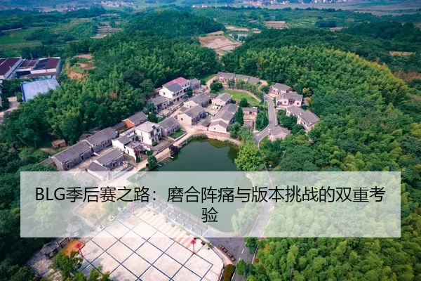BLG季后赛之路：磨合阵痛与版本挑战的双重考验