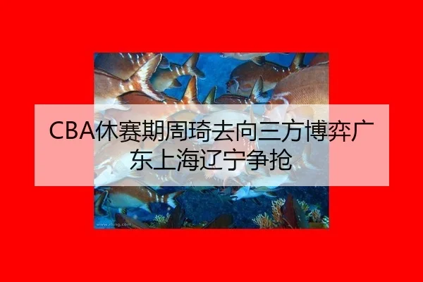 CBA休赛期周琦去向三方博弈广东上海辽宁争抢