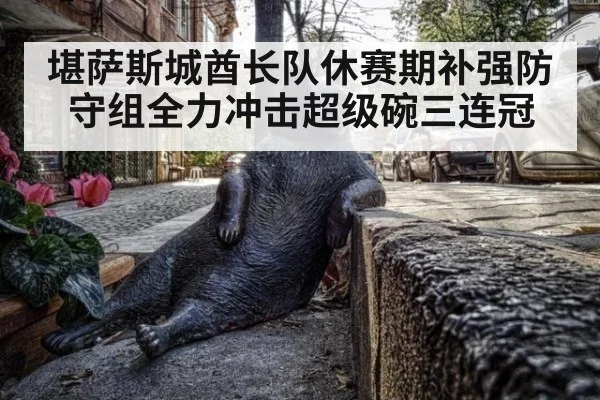 堪萨斯城酋长队休赛期补强防守组全力冲击超级碗三连冠