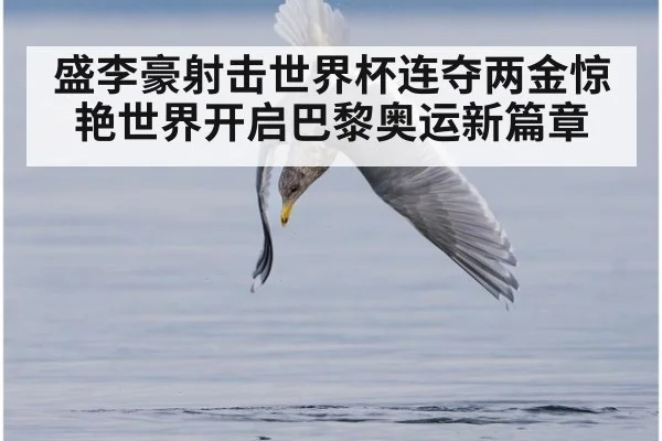 盛李豪射击世界杯连夺两金惊艳世界开启巴黎奥运新篇章